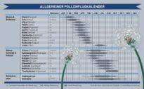 Pollenflug – Welche Pflanzen zu welcher Zeit Heuschnupfen auslösen