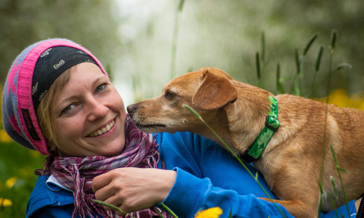 Tierhalterhaftpflicht Für Hunde Und Pferdehalter
