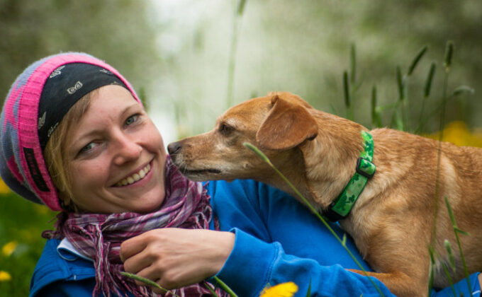 Tierhalterhaftpflicht: Für Hunde- und Pferdehalter unverzichtbar