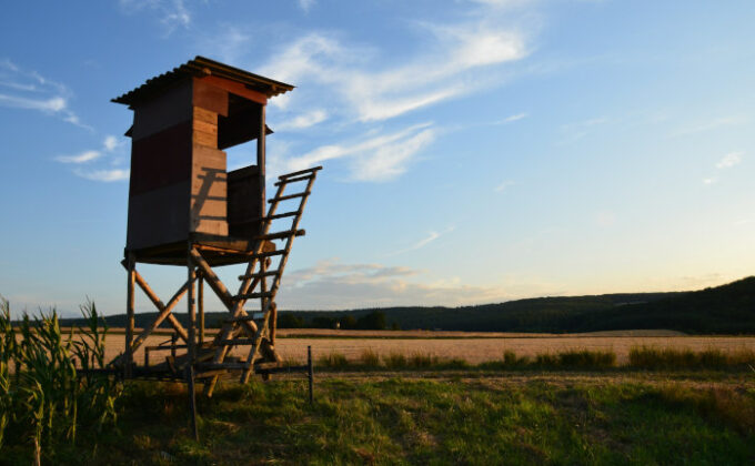 Jagdhaftpflichtversicherung: Ein Muss für jeden Jäger