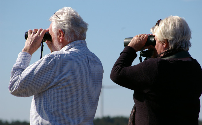 10 Jahre Mini-Zinsen: Wie im Niedrigzinsumfeld für das Alter gespart werden kann