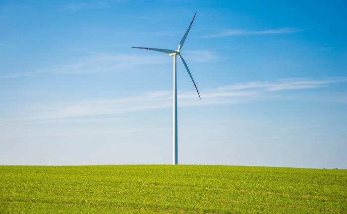 EU fördert grüne Produkte: Die Finanzbranche soll nachhaltig werden