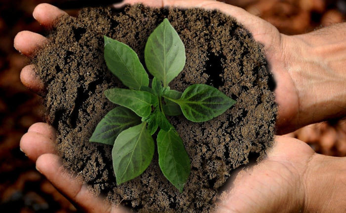 Geld anlegen mit gutem Gewissen: So arbeiten nachhaltige ETFs