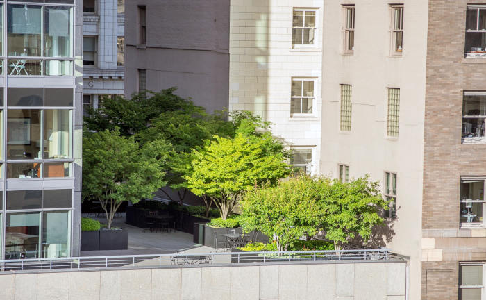 Alles nur Marketing? – Was bedeutet eigentlich Nachhaltigkeit bei einer Versicherung?