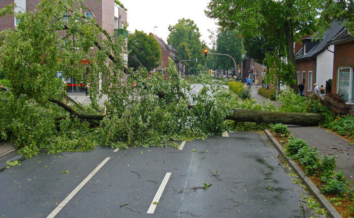 Wenn Stürme übers Land ziehen: Diese Verkehrssicherungspflicht haben Hausbesitzer