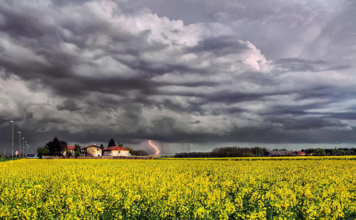 Welche Versicherung zahlt bei Unwetterschäden?