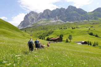 Unterwegs im Grünen – was Sie jetzt über Zecken wissen sollten